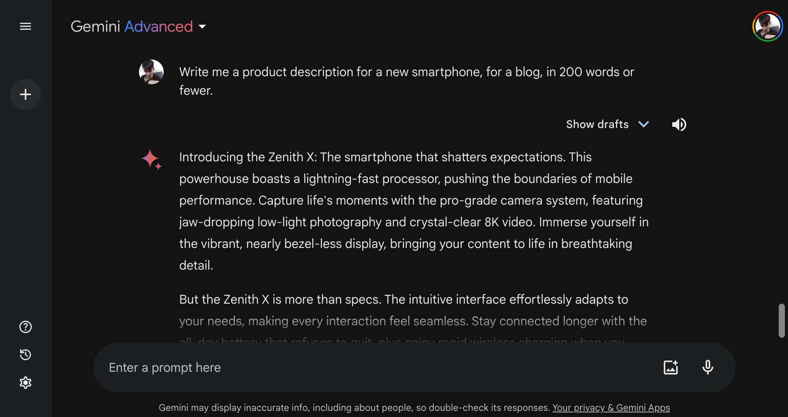 Gemini product description 2