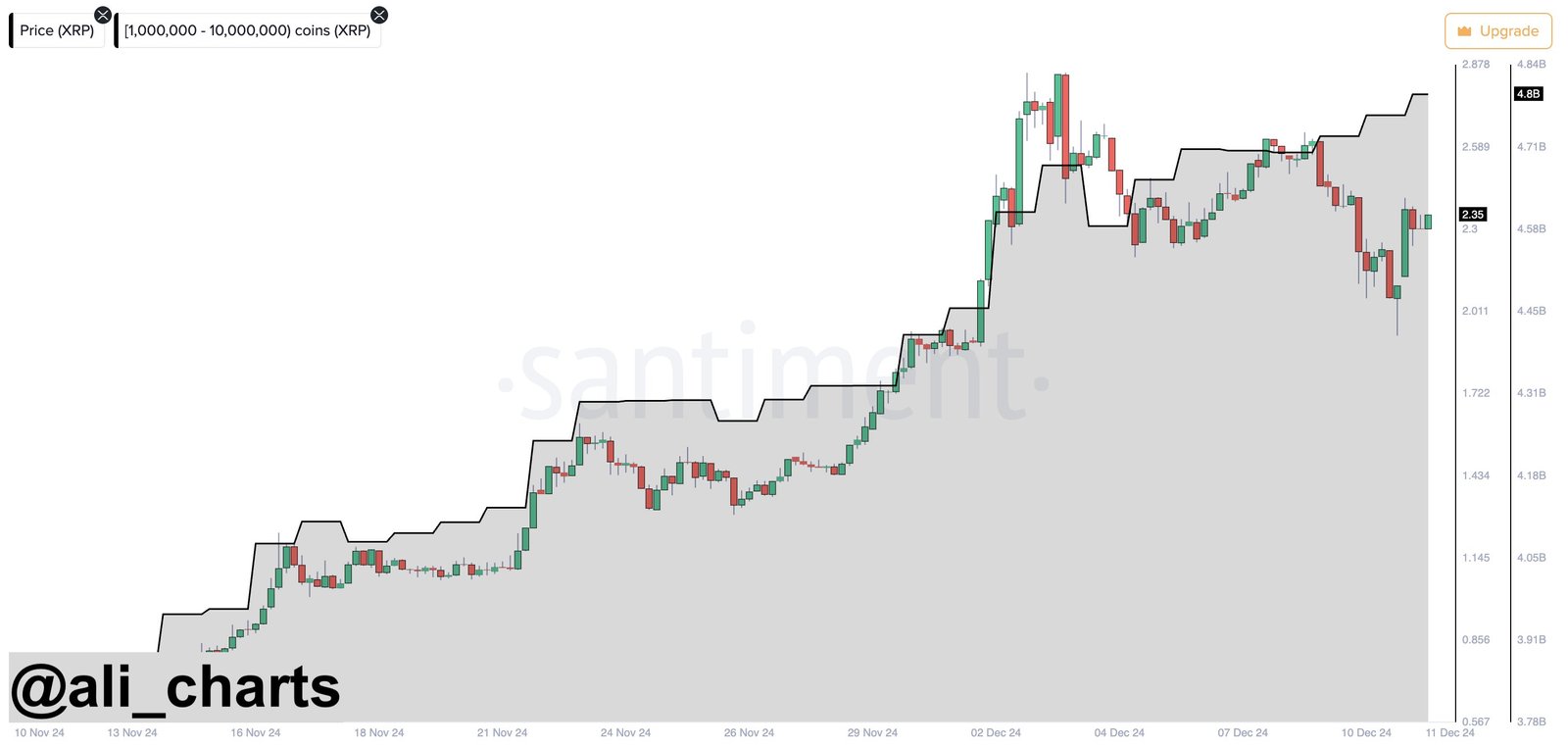 XRP whales