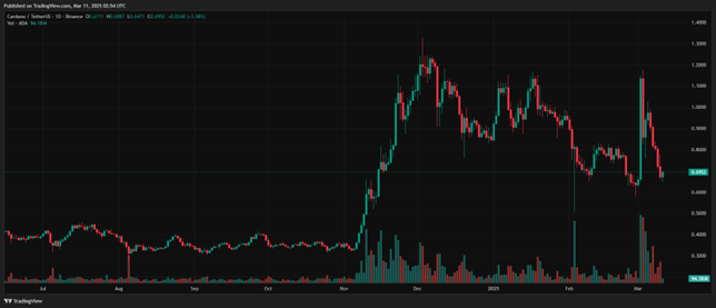 Experts forecast this viral $0.061 altcoin to hit $1 before DOGE, ADA - 3