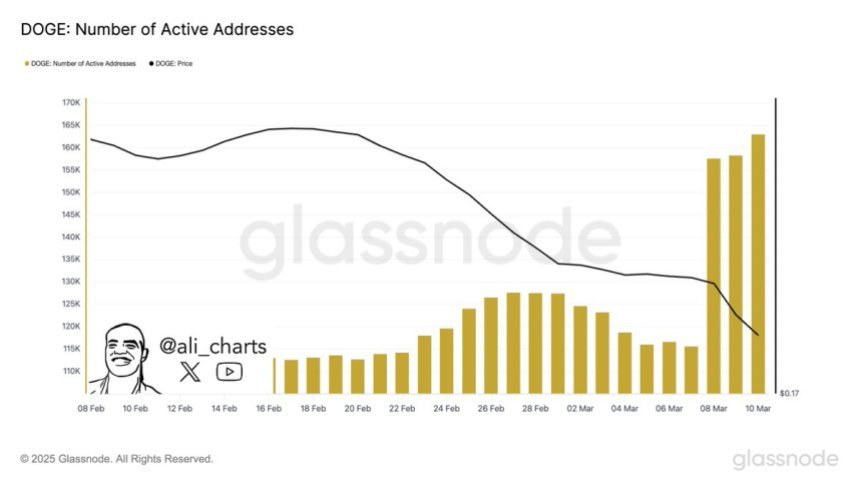 Dogecoin Number of Active Addresses | Source: Ali Martinez on X