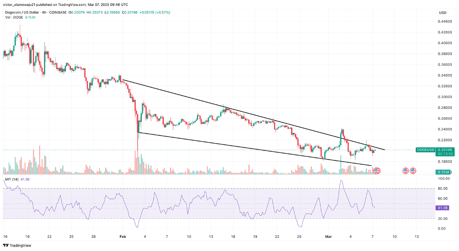 Dogecoin and Shiba Inu holders take a new kind of gamble on Rollblock's 5,000% potential - 3