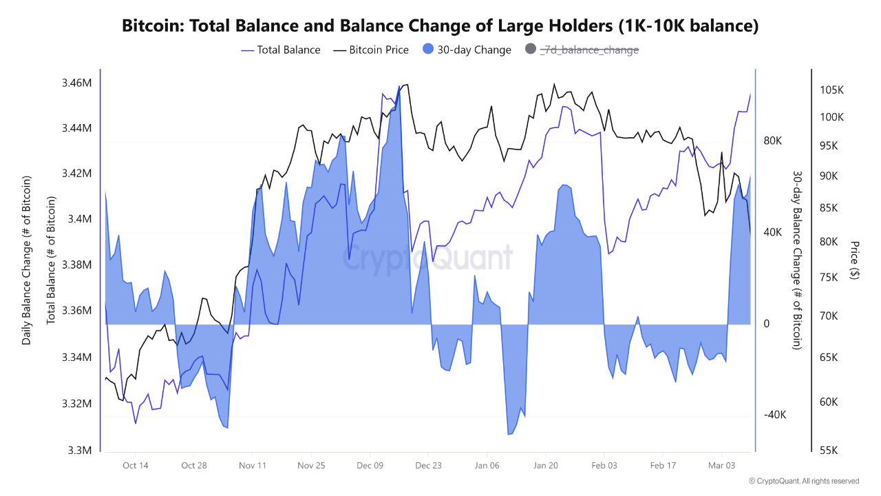 Bitcoin whale balance change. 