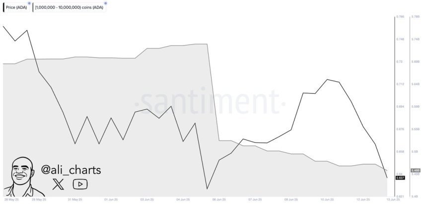 Cardano whales sold over 270 million ADA in a week | Source: Ali Martinez on X