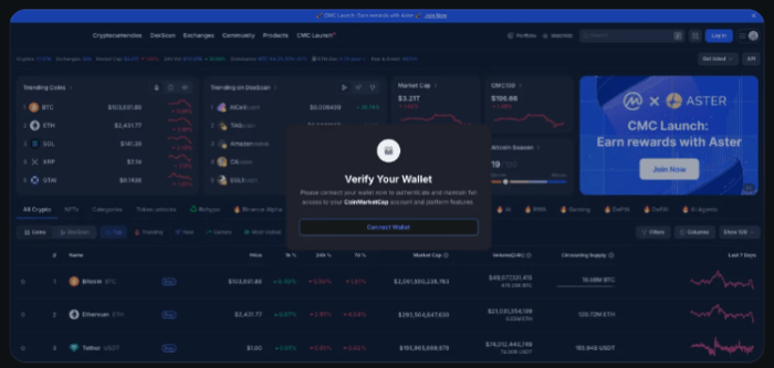 CoinMarketCap homepage showed an authentic-looking 'connect your wallet' popup.