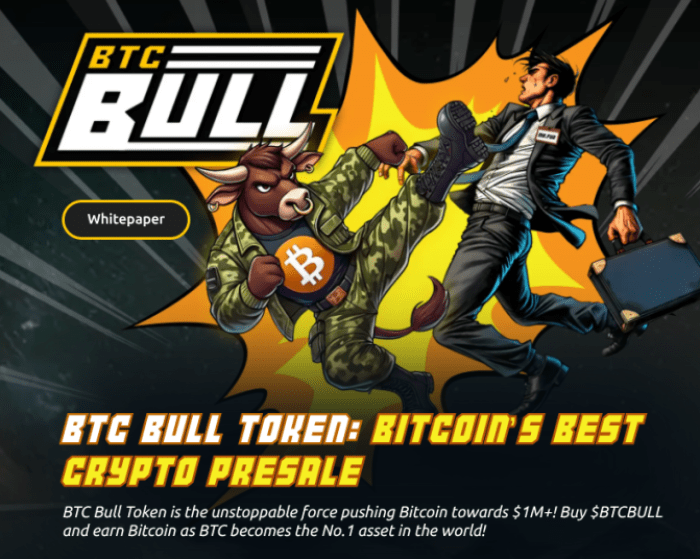 BTCBULL Token character. 